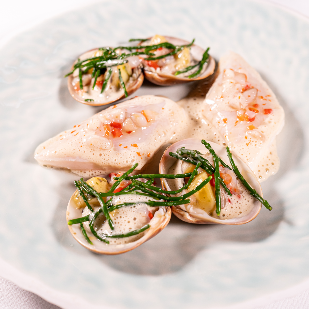 Steamed John Dory with shellfish and seaside flavours